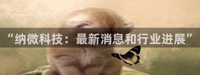 “纳微科技：最新消息和行业进展”