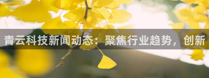 青云科技新闻动态：聚焦行业趋势，创新