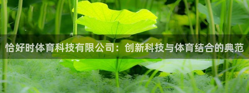恰好时体育科技有限公司：创新科技与体育结合的典范