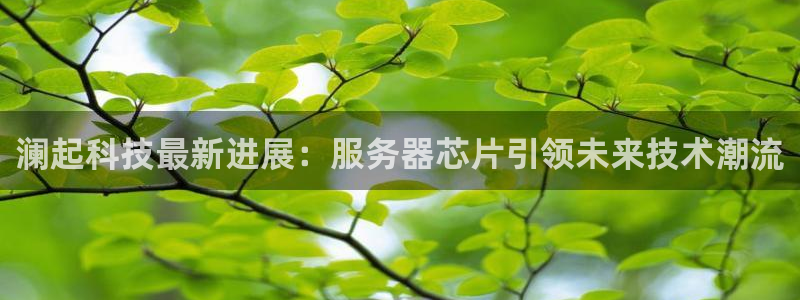 澜起科技最新进展：服务器芯片引领未来技术潮流