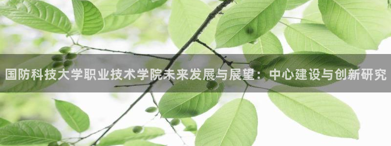 国防科技大学职业技术学院未来发展与展望：中心建设与创新研究